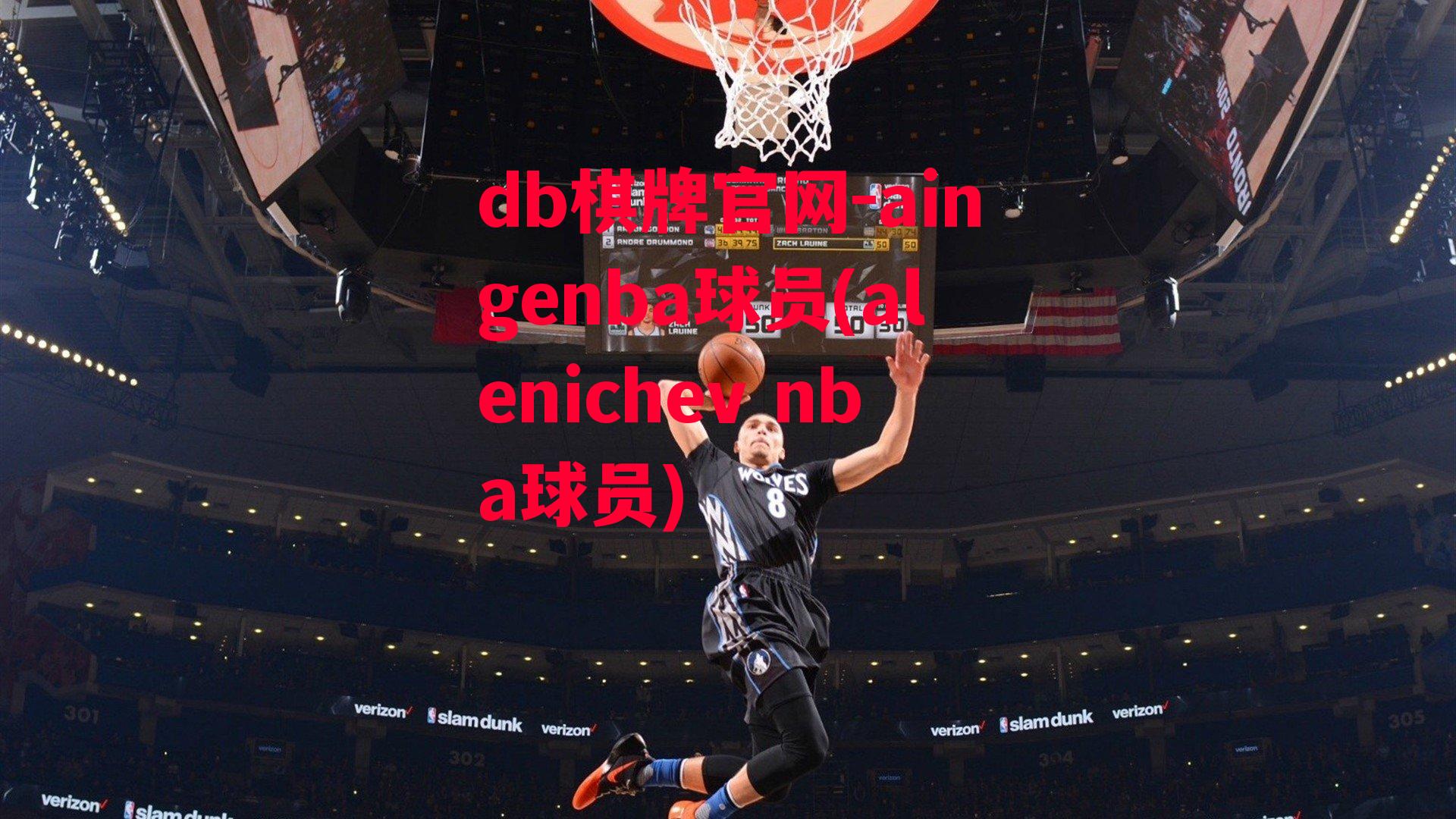 aingenba球员(alenichev nba球员)